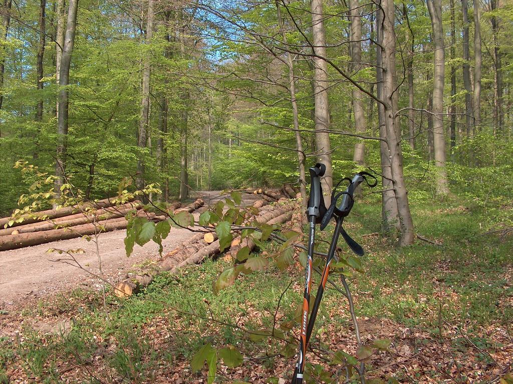 Landhotel Ridder Bad Laer Extérieur photo