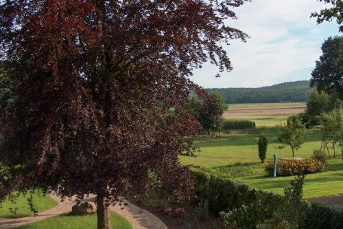 Landhotel Ridder Bad Laer Extérieur photo